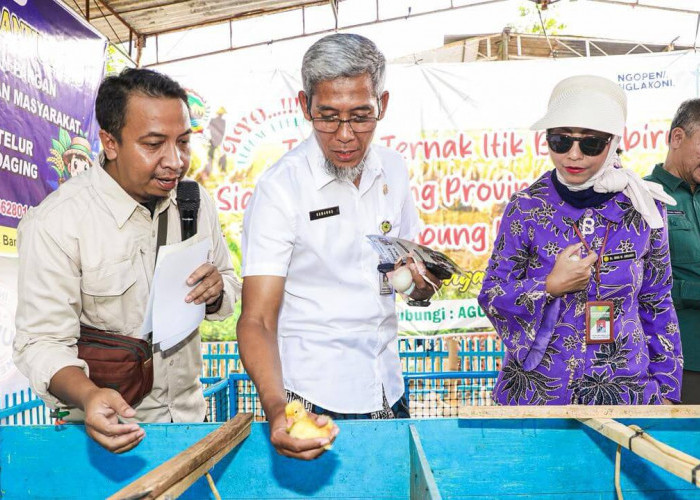 Genjot Swasembada Pangan, Pemprov Jateng Perkuat Regenerasi 630 Ribu Petani Milenial
