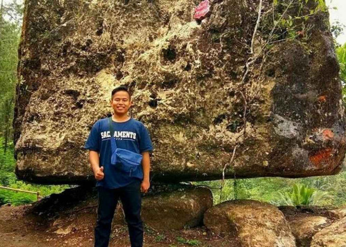 Watu Tumpang di Hutan Pinus Kalilo jadi daya tarik tambahan yang cukup unik