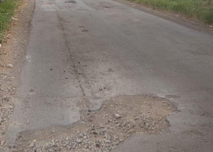 Lubang jalan di ruas Kalikangkung-Pangkah di Kabupaten Tegal yang kerap memicu kecelakaan, baru-baru ini. Foto: YERI NOVELI/RADAR SLAWI