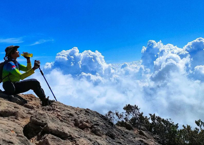 Puncak Gunung Lawu @ino_arsenio