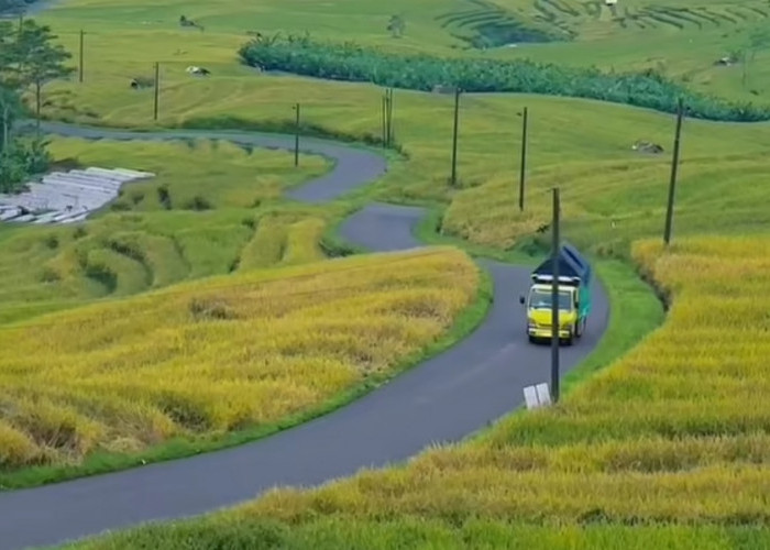Sisi Lain Banjarnegara, Rest Area Kalibombong Punya Pesona Alam Ala di Luar Negeri