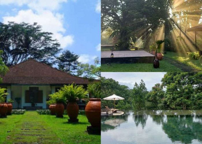 Liburan Istimewa MesaStila Resort and Spa Pesona Menawan Perpaduan Keindahan Alam dan Kemewahan