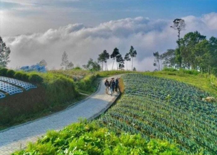 Warga Desa Adipuro Kabupaten Magelang Enggan Blumbang Roto Dijadikan Destinasi Wisata, Ini Alasannya!