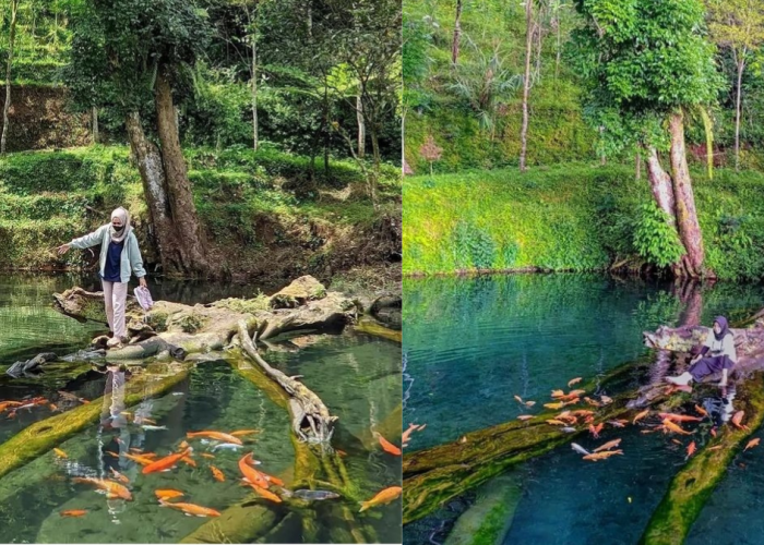 Wisata Hidden Gem Di Wonosobo, Umbul Mudal Slukatan Yang Penuh Pesona Alam! Berikut Rutenya!