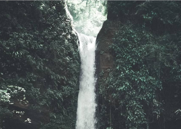 Punya 4 Tingkatan Air Terjun! Inilah Curug Sijangkar Purworejo yang Masih Tersembunyi