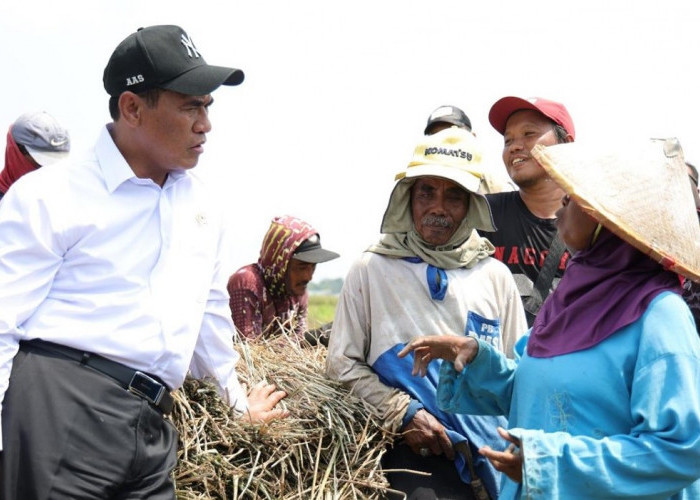 Kesejahteraan Petani Terus Menguat, NTP September 2026 Tembus 131,11