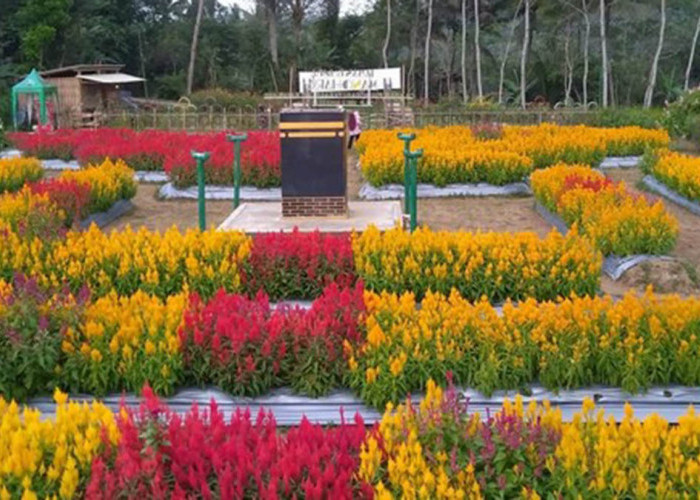 Taman Manohara Tegalrejo Magelang