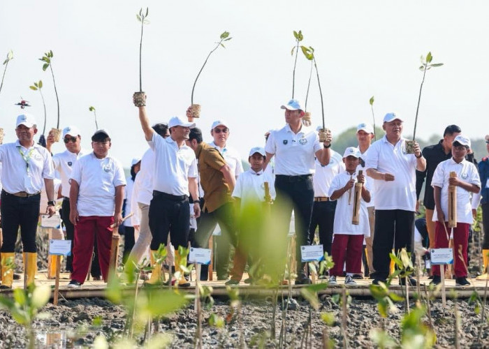 Desa Timbulsloko Demak Jadi Percontohan Perlindungan Pesisir Pantura Berbasis Alam