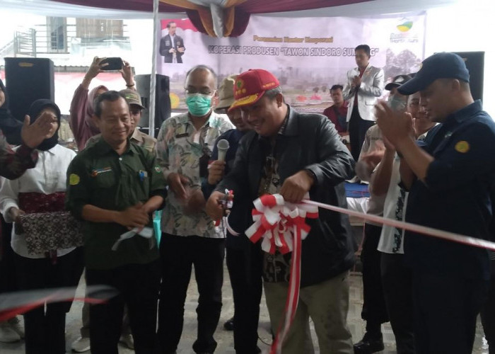 Koperasi Produsen Tawon Sindoro Sumbing Wadah Problematika Petani Temanggung-Wonosobo