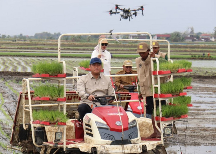 Tanam Padi di Lokasi Brigade Pangan, Wamentan Sebut Mekanisasi Menguntungkan