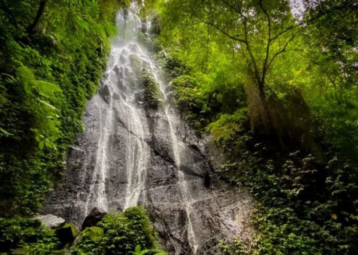 Menghipnotis Mata, Keindahan Air Terjun Ngesong yang Masih Tersembunyi