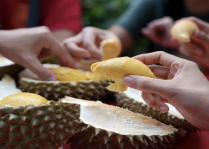 Cek Efek Samping Makan Durian Berlebihan, Nomor 3 Paling Berbahaya!