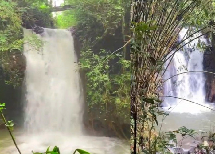 Wisata Air Terjun di Lereng Gunung Sumbing: Curug Bujet dan Sigetik jadi Curug Cantik di Kajoran Magelang