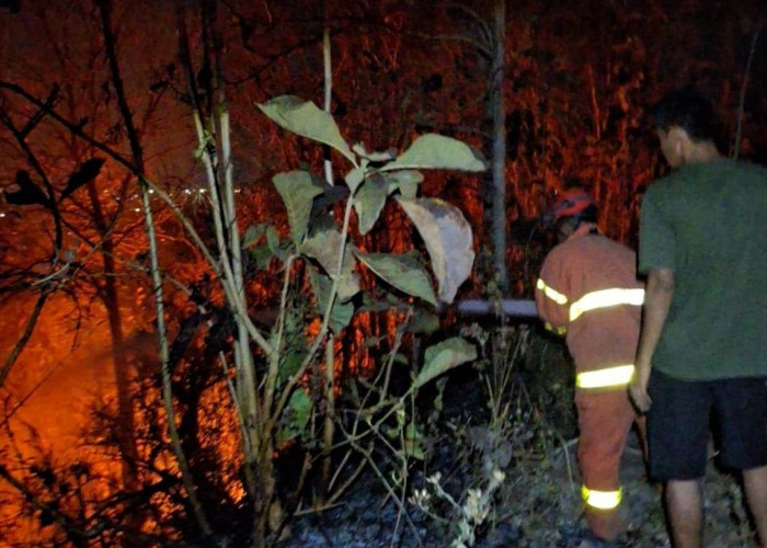 Kawasan Gunung Tugel Kutoarjo Kebakaran, Api Menjalar Dekati Area Makam Cina