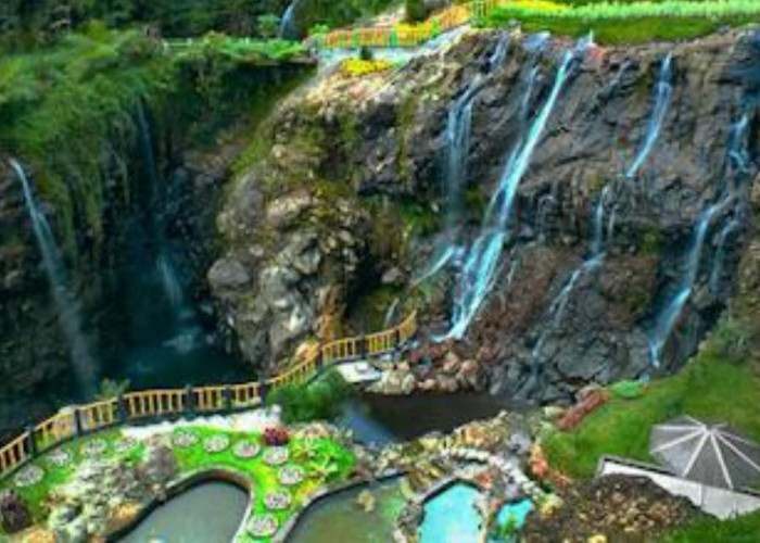 Piknik Bersama Keluarga Di Kebun Raya Baturraden Banyumas!