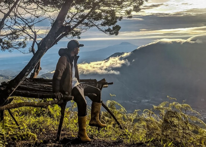 Puncak Seroja Wobosobo Masih Sepi Pendaki Simak Informasi Lengkapnya Disini!