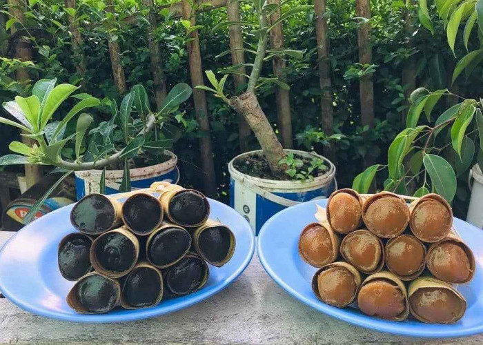 Clorot makanan khas Purworejo