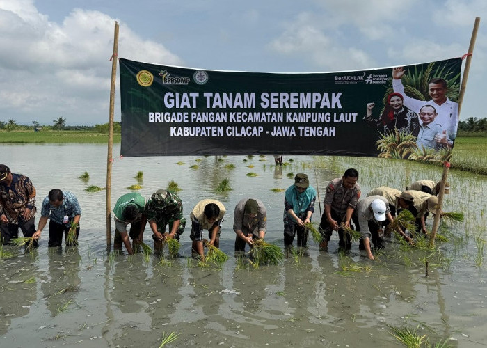 Perkuat Produksi Nasional, Brigade Pangan Cilacap Lakukan Tanam Serempak