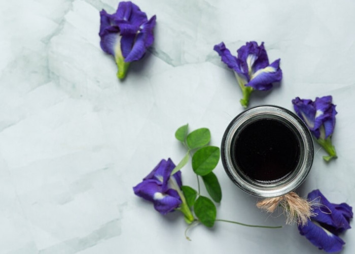 Olahan Bunga Telang yang Dijamin Nikmat dan Gampang Dibuat