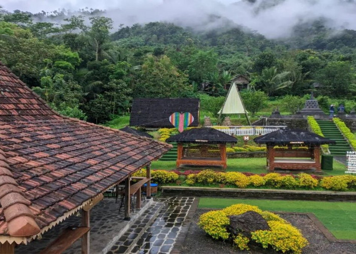 Terasering Ngargogondo Borobudur, Glamping Buatan Warga yang Lokasinya Tidak Jauh Dari Candi Borobudur 