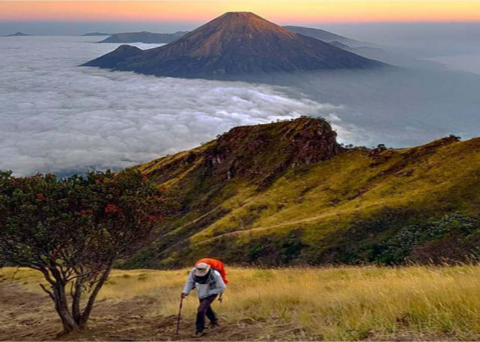 Jalur Pendakian Gunung Sumbing