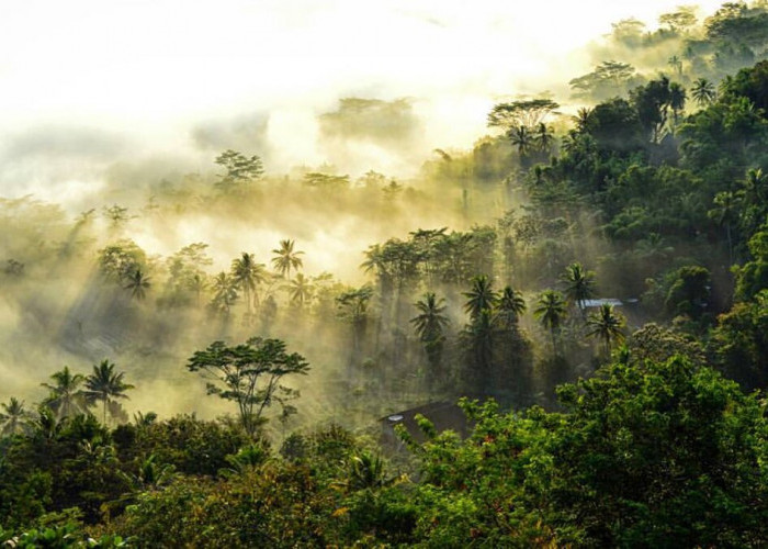 Menikmati Indahnnya Sunrise dari Ketinggian Punthuk Kendil Magelang