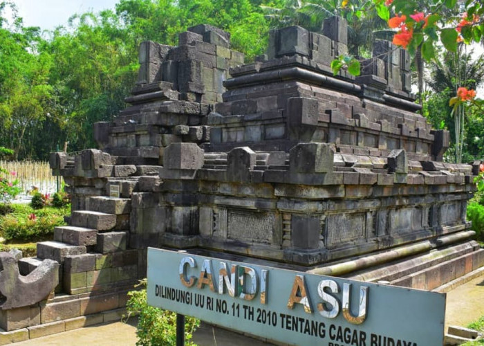 Patut Dikunjungi! Candi Asu Menjadi Objek Wisata Sejarah dan Budaya di Magelang dengan HTM Gratis.