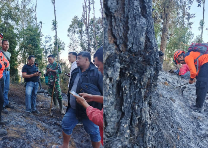 Karhutla Gunung Sindoro Temanggung Dipadamkan dalam Satu Jam, Petugas Temukan Sejumlah Titik Api