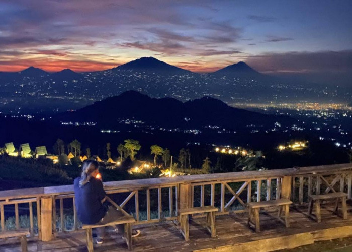 Silancur Highland memiliki panorama city light dari Kecamatan Kaliangkrik