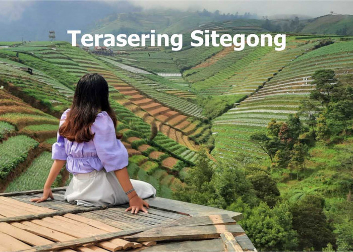 Terasering Sitegong