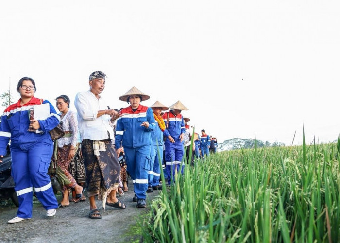 Wujudkan Ketahanan Pangan Berbasis Energi Bersih Lewat Desa Energi Berdikari Keliki