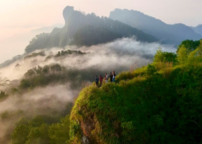Cuman 5 Menit Mendaki! Bukit Sitlerep Hidden Gemnya Purworejo dengan 360° View Alamnya