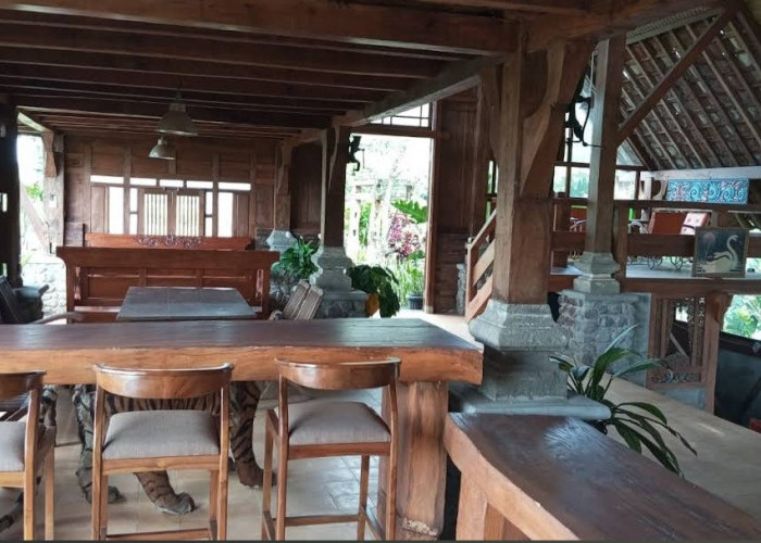 Wisata Baru di Magelang? Wisata Alam Randu Alas Secang Jadi Daya Tarik Terkini