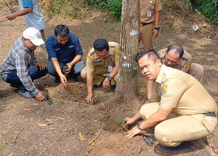 HPN 2026 di Kabupaten Purworejo Diperingati Sederhana, Wartawan Tanam Pohon di Heroes Park