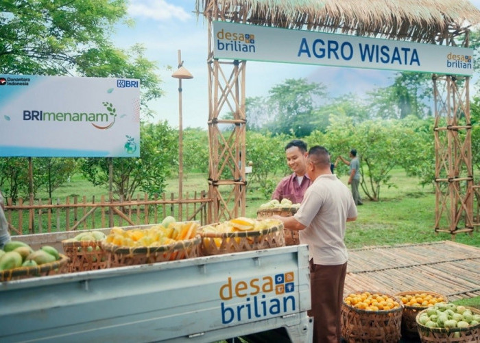 Jangkau 5.245 Desa BRILiaN, BRI Perluas Dukungan bagi Pengembangan Ekonomi Desa