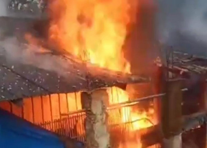 Kandang Ayam di Wonosobo Terbakar Hebat, Polisi Dalami Penyebabnya