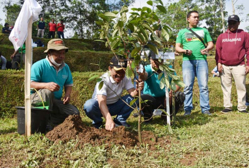 265 Desa di Wonosobo Serentak Tanam Pohon, Lokasinya Dipusatkan di Tiga Tempat Ini