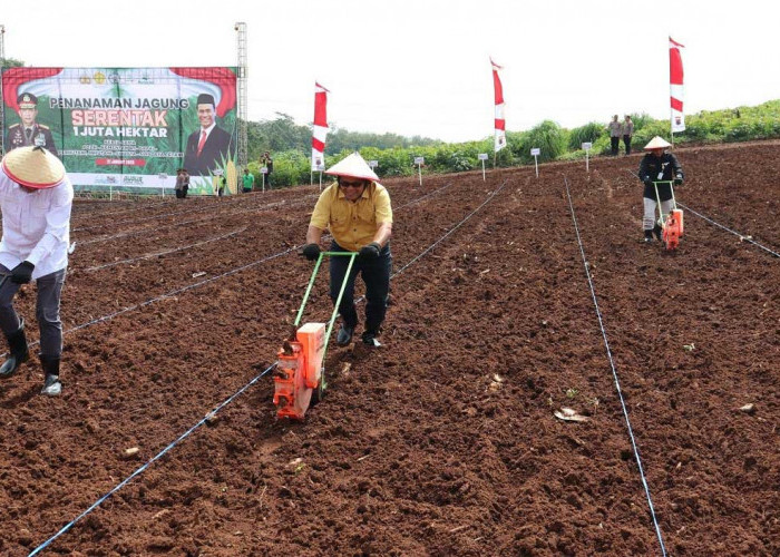 Bersama POLRI, Kementan Tanam Jagung Serentak di Jawa Tengah