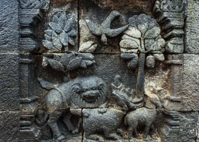 TERKUAK! Alasan Ada Banyak Hewan yang Tergambar di Relief Candi Borobudur