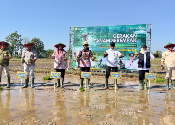 Genjot Produksi Pangan, Kementan Gelar Tanam Serentak di 26 Provinsi