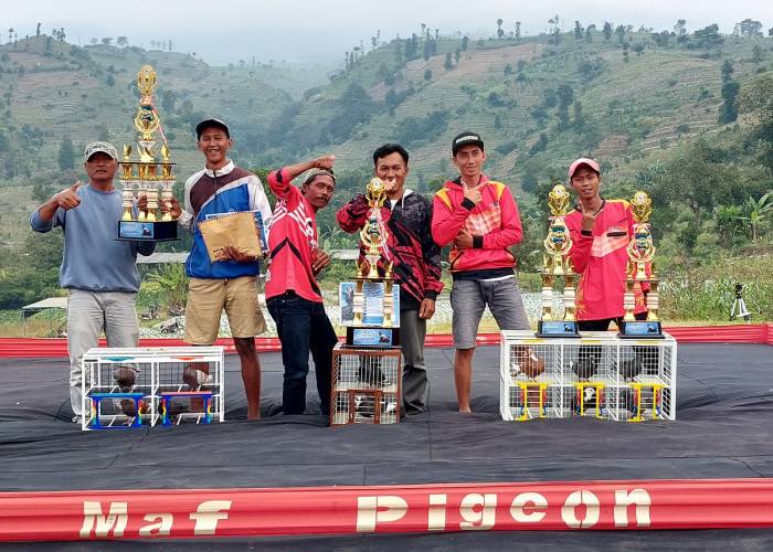 Merpati Tim Wahana Baru Jawara Lomba Merpati Kolong di Temanggung, Hadiah Puluhan Juta