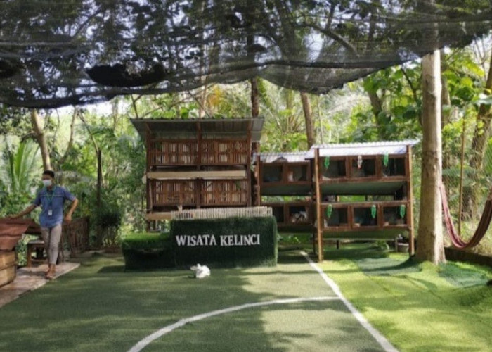 Wisata Edukasi Magelang, Asiknya Bermain Sambil Belajar di Taman Kelinci Desa Bahasa