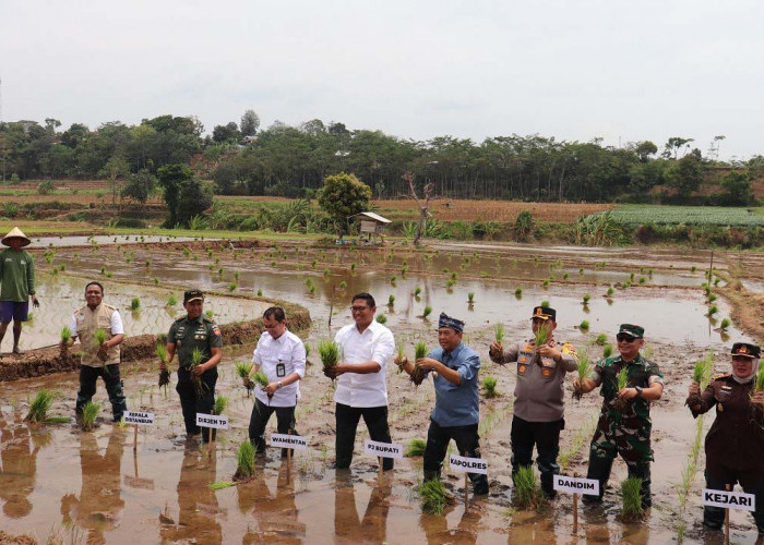 Pastikan Pupuk Sampai ke Petani, Wamentan Turun ke Jepara