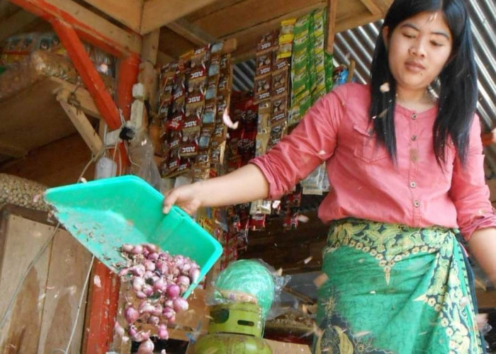 Harga Bawang Merah Turun di Awal 2026, Minyakita di Temanggung Masih di Atas HET