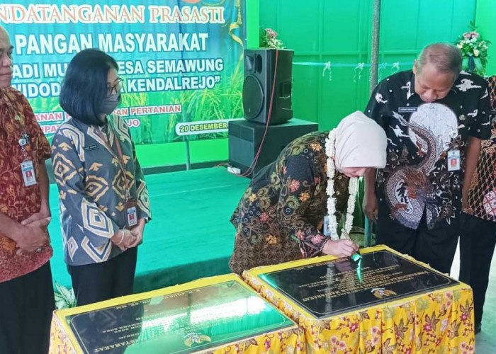 Antisipasi Krisis Pangan di Purworejo, Lumbung Pangan Masyarakat Diresmikan 