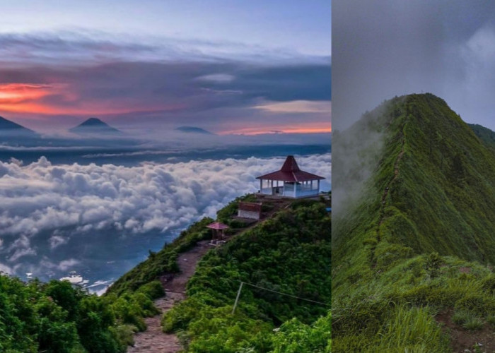 10 Fakta Menarik Gunung Andong, Dimulai dari Jembatan Setannya hingga Pemandangan Bak di Luar Negeri