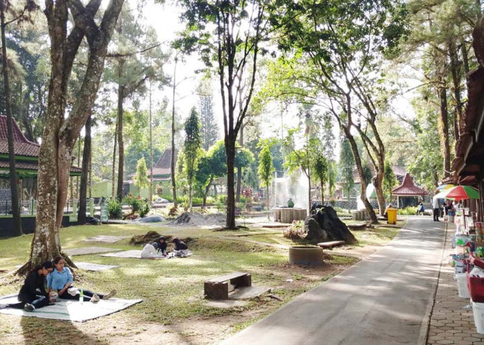 Bersolek pada 2026, Taman Kyai Langgeng Magelang Siapkan Taman Kincir Belanda