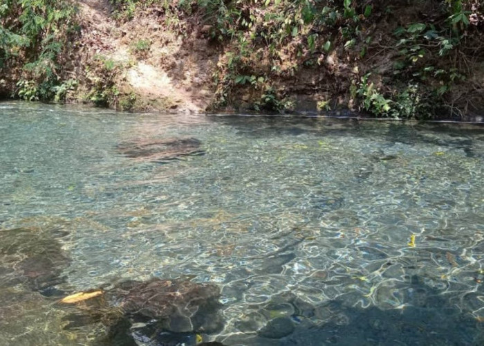 Wisata Magelang Kali Udal Gumuk, Sungai Tersembunyi yang Memiliki Air Sangat Jernih