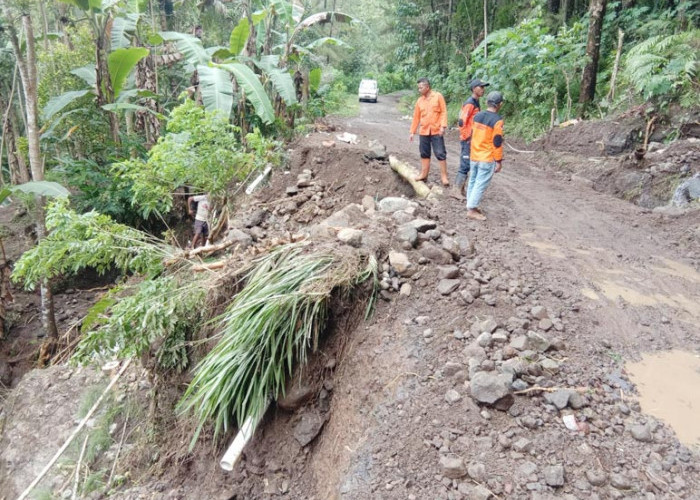 Longsor dan Tanah Bergerak Landa Wadaslintang, Puluhan Rumah Rusak