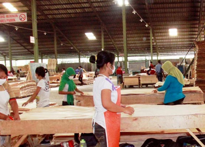 Sejumlah Pabrik Olahan Kayu di Temanggung Kurangi Jam Kerja Karyawan